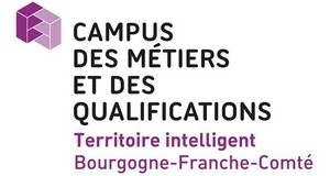 Logo CMQ Territoire intelligent violet